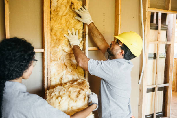 Best Affordable Insulation Services  in Mckeesport, PA