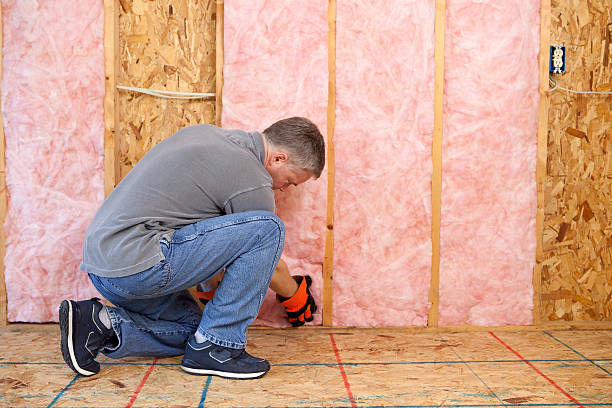 Best Insulation Repair Services  in Mckeesport, PA