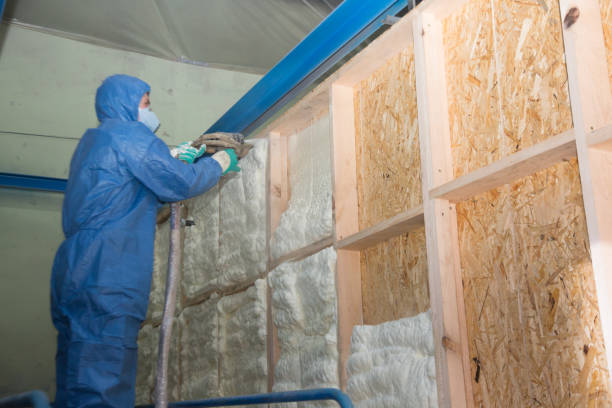 Best Insulation Inspection Services  in Mckeesport, PA