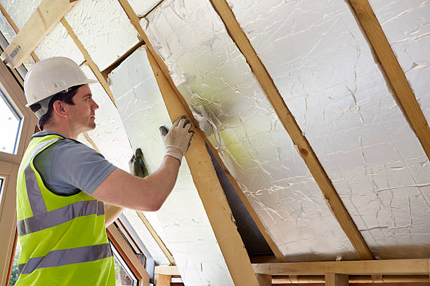 Best Insulation Replacement Services  in Mckeesport, PA