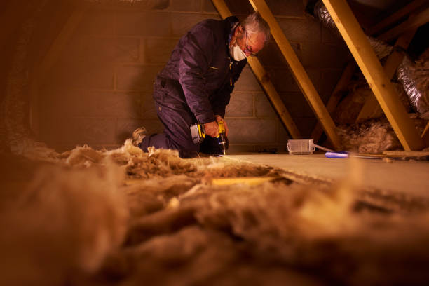 Best Insulation Removal  in Mckeesport, PA