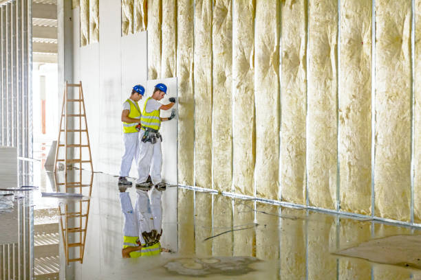 Best Fiberglass Insulation  in Mckeesport, PA
